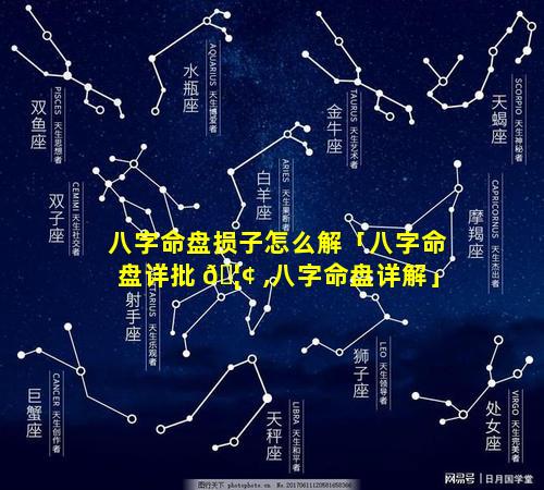 八字命盘损子怎么解「八字命盘详批 🦢 ,八字命盘详解」